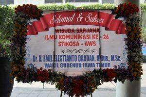 IMG_9736 IMG_9736